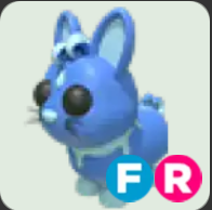 Water Rabbit ▪️FR🐸Ultra-Rare🚀Pets⚡24/7 Online🚀