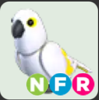 White Amazon ▪️NFR🐸Legendary🚀Pets⚡24/7 Online🚀