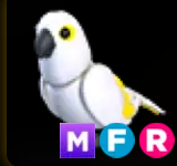 White Amazon ▪️MFR🐸Legendary🚀Pets⚡24/7 Online🚀