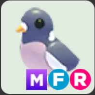 Wood Pigeon ▪️MFR🐸Ultra-Rare🚀Pets⚡24/7 Online🚀
