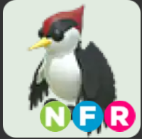 Woodpecker ▪️NFR🐸Rare🚀Pets⚡24/7 Online🚀