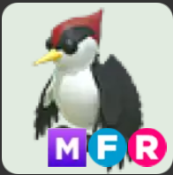 Woodpecker ▪️MFR🐸Rare🚀Pets⚡24/7 Online🚀