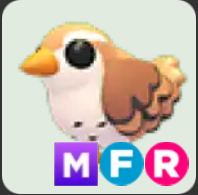 Wren ▪️MFR🐸Rare🚀Pets⚡24/7 Online🚀