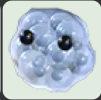 Frogspawn ▪️Common🐸Uncommon🚀Pets⚡24/7 Online🚀