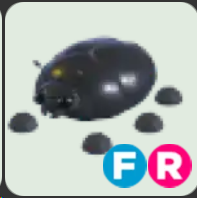 Giant Black Scarab ▪️FR🐸Ultra-Rare🚀Pets⚡24/7 Online🚀