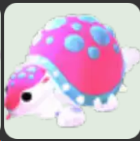 Glyptodon ▪️Common🐸Uncommon🚀Pets⚡24/7 Online🚀