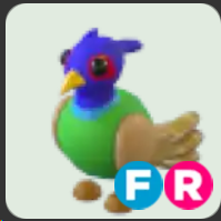 Green-Chested Pheasant ▪️FR🐸Legendary🚀Pets⚡24/7 Online🚀