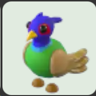 Green-Chested Pheasant ▪️Common🐸Legendary🚀Pets⚡24/7 Online🚀