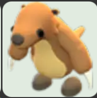 Ground Sloth ▪️Common🐸Common🚀Pets⚡24/7 Online🚀