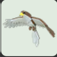 Hawk ▪️Common🐸Legendary🚀Pets⚡24/7 Online🚀
