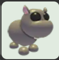 Hippo ▪️Common🐸Rare🚀Pets⚡24/7 Online🚀