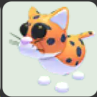 Indian Leopard ▪️Common🐸Rare🚀Pets⚡24/7 Online🚀