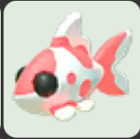 Koi Carp ▪️Common🐸Rare🚀Pets⚡24/7 Online🚀