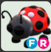 Ladybug ▪️FR🐸Ultra-Rare🚀Pets⚡24/7 Online🚀