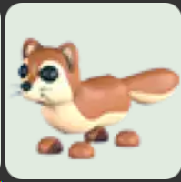 Mongoose ▪️Common🐸Common🚀Pets⚡24/7 Online🚀