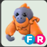 Orangutan ▪️FR🐸Rare🚀Pets⚡24/7 Online🚀