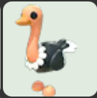 Ostrich ▪️Common🐸Rare🚀Pets⚡24/7 Online🚀