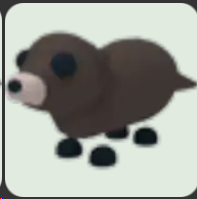 Otter ▪️Common🐸Common🚀Pets⚡24/7 Online🚀