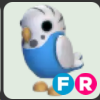 Parakeet ▪️FR🐸Rare🚀Pets⚡24/7 Online🚀