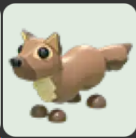 Pine Marten ▪️Common🐸Ultra-Rare🚀Pets⚡24/7 Online🚀