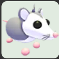 Possum ▪️Common🐸Uncommon🚀Pets⚡24/7 Online🚀