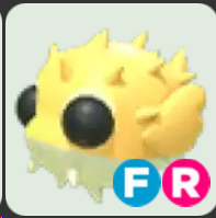 Puffer Fish ▪️FR🐸Ultra-Rare🚀Pets⚡24/7 Online🚀