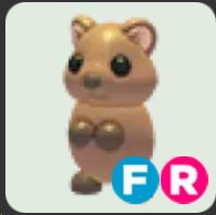 Quokka ▪️FR🐸Uncommon🚀Pets⚡24/7 Online🚀