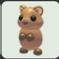 Quokka ▪️Common🐸Uncommon🚀Pets⚡24/7 Online🚀