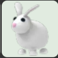 Rabbit ▪️Common🐸Rare🚀Pets⚡24/7 Online🚀