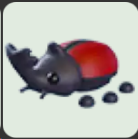 Rhino Beetle ▪️Common🐸Uncommon🚀Pets⚡24/7 Online🚀