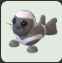 Ribbon Seal ▪️Common🐸Ultra-Rare🚀Pets⚡24/7 Online🚀