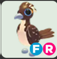 Roadrunner ▪️FR🐸Ultra-Rare🚀Pets⚡24/7 Online🚀