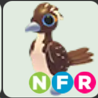 Roadrunner ▪️NFR🐸Ultra-Rare🚀Pets⚡24/7 Online🚀
