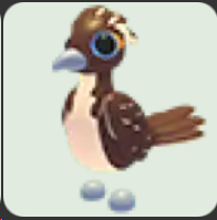 Roadrunner ▪️Common🐸Ultra-Rare🚀Pets⚡24/7 Online🚀