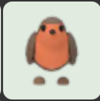 Robin ▪️Common🐸Common🚀Pets⚡24/7 Online🚀