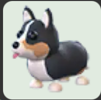 Royal Corgi ▪️Common🐸Ultra-Rare🚀Pets⚡24/7 Online🚀