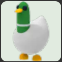 Silly Duck ▪️Common🐸Uncommon🚀Pets⚡24/7 Online🚀