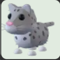 Snow Leopard ▪️Common🐸Uncommon🚀Pets⚡24/7 Online🚀