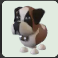 St Bernard ▪️Common🐸Ultra-Rare🚀Pets⚡24/7 Online🚀