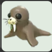 Walrus ▪️Common🐸Common🚀Pets⚡24/7 Online🚀