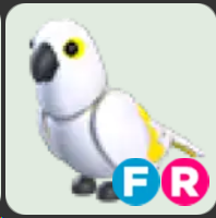 White Amazon ▪️FR🐸Legendary🚀Pets⚡24/7 Online🚀