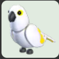 White Amazon ▪️Common🐸Legendary🚀Pets⚡24/7 Online🚀