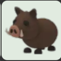 Wild Boar ▪️Common🐸Uncommon🚀Pets⚡24/7 Online🚀