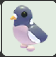 Wood Pigeon ▪️Common🐸Ultra-Rare🚀Pets⚡24/7 Online🚀
