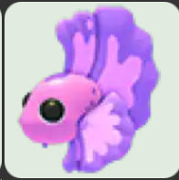 Pink Betta Fish ▪️Common🐸Ultra-Rare🚀Pets⚡24/7 Online🚀