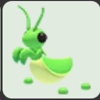 Praying Mantis ▪️Common🐸Ultra-Rare🚀Pets⚡24/7 Online🚀
