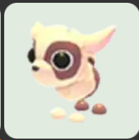 Kid Goat ▪️Common🐸Common🚀Pets⚡24/7 Online🚀