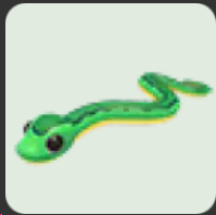 Garden Snake ▪️Common🐸Common🚀Pets⚡24/7 Online🚀