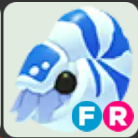Nautilus ▪️FR🐸Ultra-Rare🚀Pets⚡24/7 Online🚀