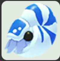 Nautilus ▪️Common🐸Ultra-Rare🚀Pets⚡24/7 Online🚀
